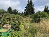 Garten (2) - 