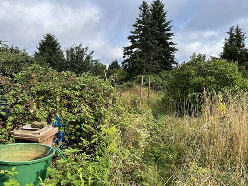 Garten (2) - 