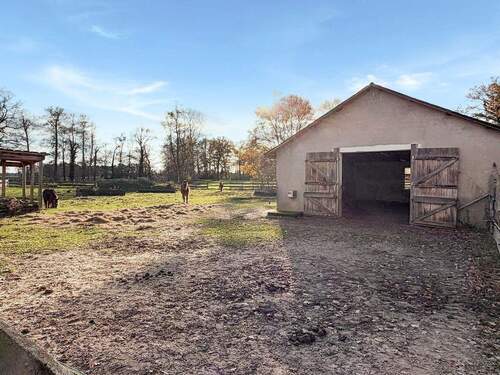 Pferdepaddok mit Offenstahl - Mehrfamilienhaus, Wohnhaus mit 335,00 m&sup2; in Rahden zum Kaufen