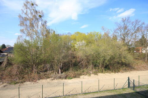 Ausblick Wald - 
