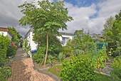 Außenansicht und Zuwegung Haus - Hochwertig modernisiertes 3,5 Zimmer-Bungalow mit schönem Garten und separater Garage