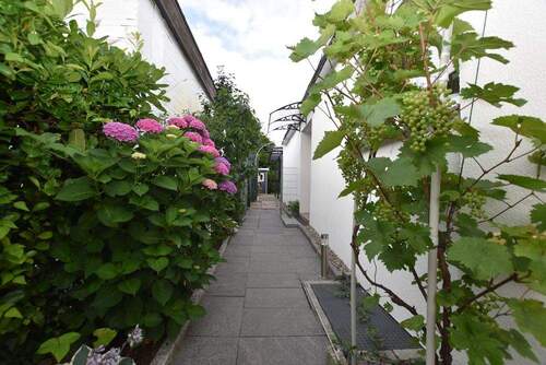 Zuwegung zum Eingang - 