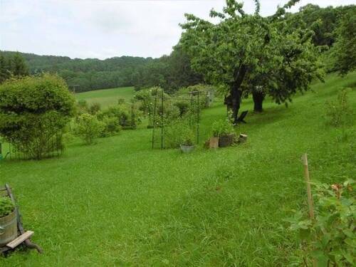 Gartengrundstück am Hang - Grundstück zum Kaufen in Flachslanden