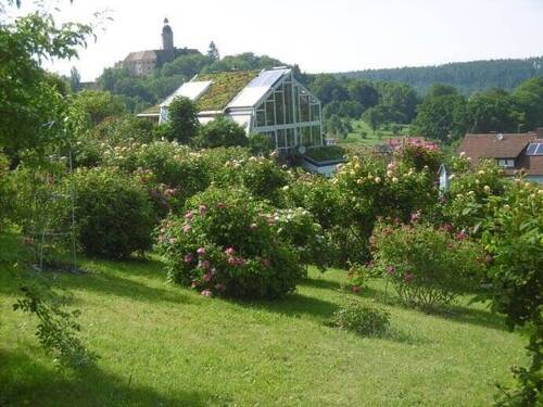 Sommer im Rosengarten - Grundstück in Flachslanden zum Kaufen