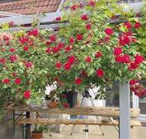 Modernes Reihenhaus in Tuttlingen zu verkaufen