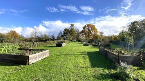 Toller Hochbeetgarten - 