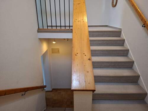 cec5fed3-ce4f-41ad-843f-374f3d46495f.jpeg - 