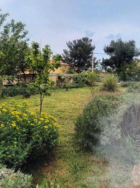 Großzügiger Garten mit mediterranen Pflanzen - 