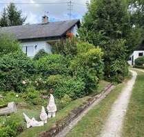 Gelegenheit! EFH u. Bauernhaus m. Scheune, Stall, Wald u. Wiesen bei Bayreuth - Emtmannsberg Eichschlag