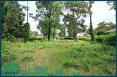 1997 Blick übers Grundstück.jpg - Grundstück in Am Mellensee zum Kaufen