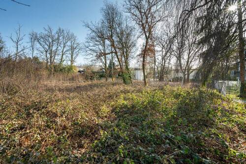 Das_Grundstueck - Grundstück in München zum Kaufen