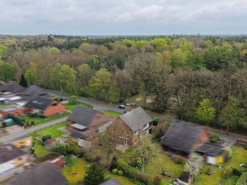 Luftaufnahme mit gegenüberliegendem Wald - Mehrfamilienhaus, Wohnhaus in Hassel (Weser) zum Kaufen