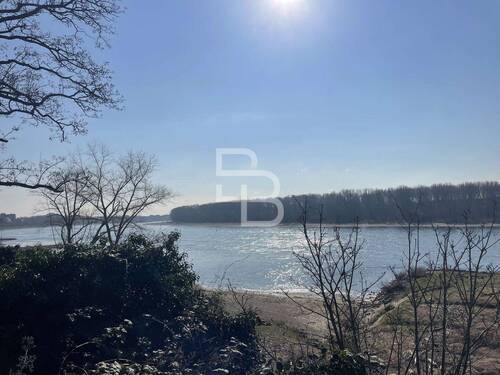 Rheinblick vom Garten - 