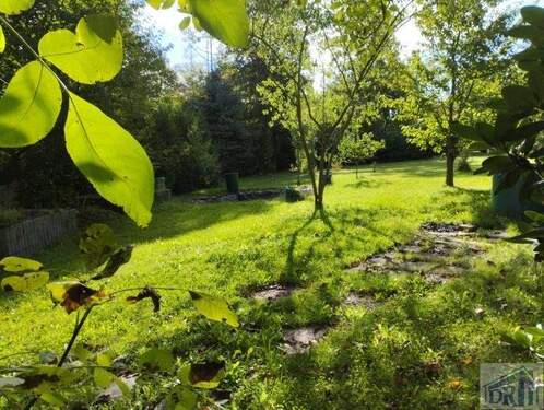 Garten - 6 Zimmer Einfamilienhaus zum Kaufen in Oderwitz