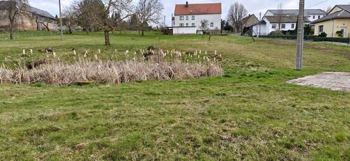 Biotop.jpg - Bauland in Striegistal OT Etzdorf