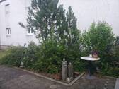 Bild 20 - 