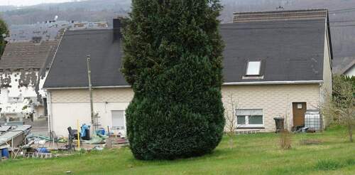 Rückseite mit Gartenanteil - Etagenwohnung mit 145,00 m&sup2; in Unnau zum Kaufen