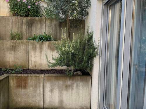Terrasse UG - 