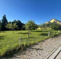 Baugrundstück in Trausnitz - 80.000,00 EUR Kaufpreis, ca.  0,00 m² in Trausnitz (PLZ: 92555)