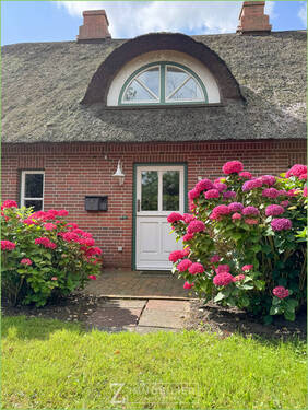 Hortensienblüte - 