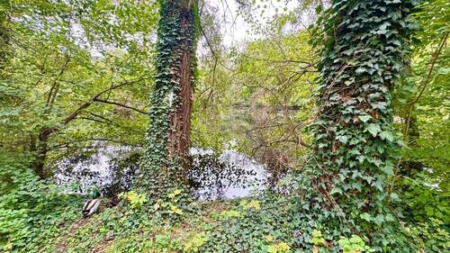 Praterweiher.jpg - 
