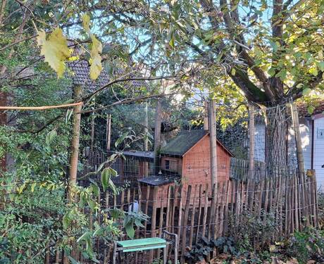 Hühner-Freilaufgehege - 