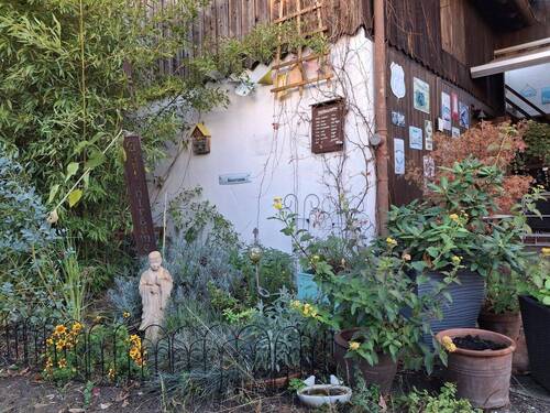 Kleines Gärtchen.... - 