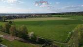 Feld - 