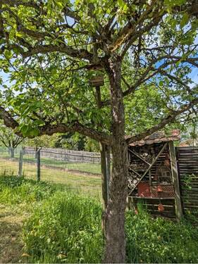Garten - Reihenmittelhaus mit 90,00 m&sup2; in Amberg zum Kaufen
