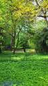 Bild 11 - 