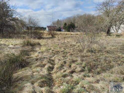 Blick zur großen Wiese - 6 Zimmer Bauernhaus, Landhaus in Quitzdorf am See