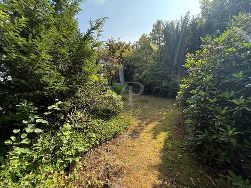 Blick von der Terrasse - 