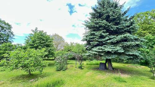 BILD14 - 