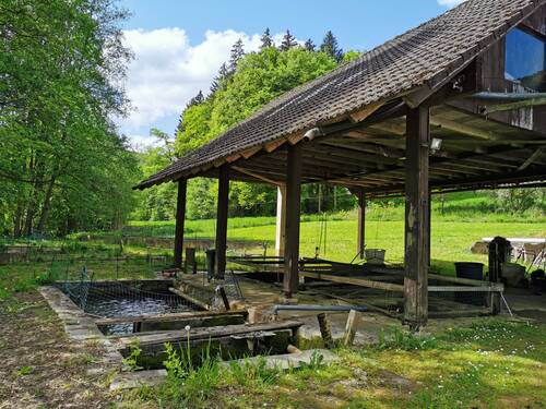 Hälterung Fischzucht.jpg - 