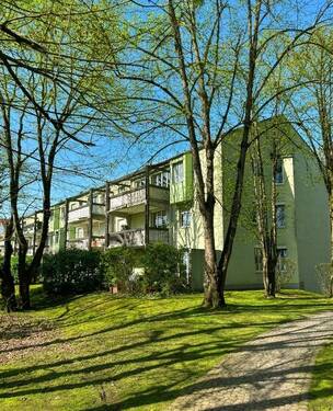 gepflegte Aussenanlage - 