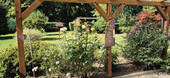 Blick in den Garten - 
