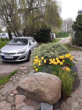 hintere Zufahrt - 