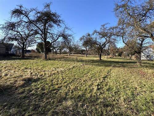 großes Grundstück, bebaubar - 