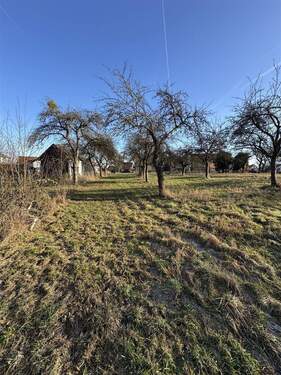 Blick zur Hofstelle - 