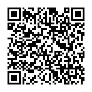 QR-Code - 