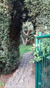 05 Garten - 