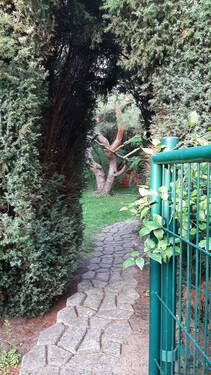 05 Garten - 