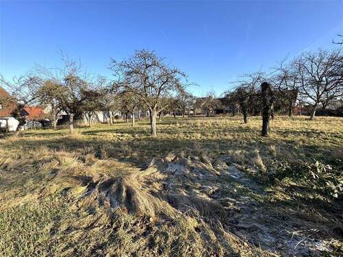 Grundstück mit 6482 m² im Ortskern - 