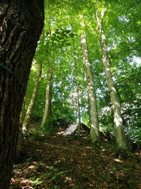 Bild 3 - Grundstück in Zell im Wiesental