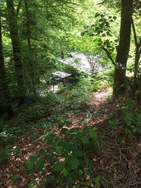 Blick aufs Haus von Oben - 