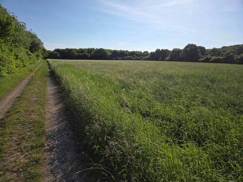 Zugang Drover Heide 150 Meter - 