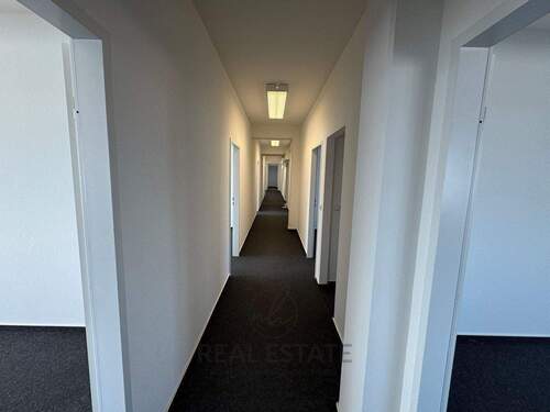 2.jpg - 6 Zimmer Büro zur Miete in Hamburg