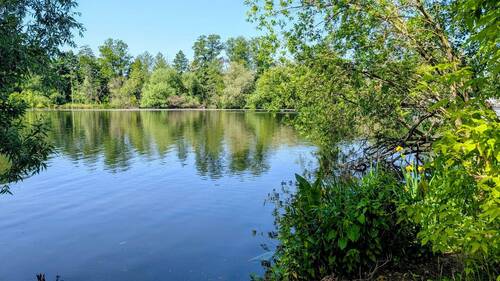Havel - 