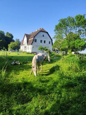 Idylle.jpg - Mehrfamilienhaus, Wohnhaus mit 260,00 m&sup2; in Garz / Poseritz Hof zum Kaufen