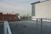 DSC07511 - 